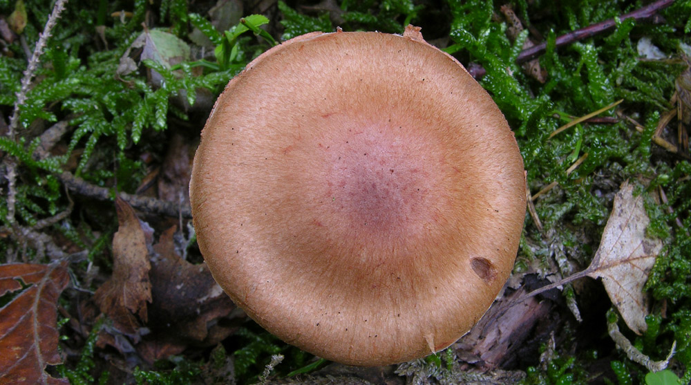 Svuotando l''archivio 2009....3� e ultima parte.